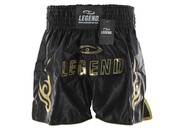 Kickboks- Boks Broekje Lang Model Kids/Volwassenen Goud Satijn