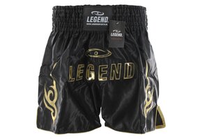 Kickboks- Boks Broekje Lang Model Kids/Volwassenen Goud Satijn