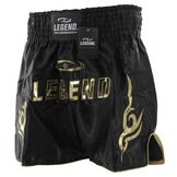Kickboxing Shorts Long Model Kids/Adult Gold Satin