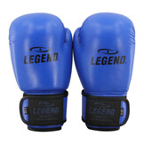 Kids Boxing Gloves Blue 6oz Leather