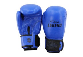 Kids Boxing Gloves Blue 6oz Leather