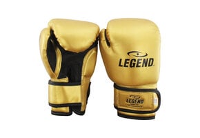 Kids Boxing Gloves 1-5 years Gold 2OZ PU