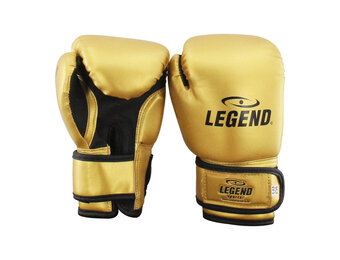 Kinder Bokshandschoenen 1-5 jaar Goud 2OZ PU