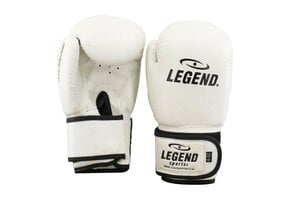 Kids Boxing Gloves 4-8 years White 4oz/6oz PU