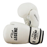 Kids Boxing Gloves 4-8 years White 4oz/6oz PU Kids Boxing Gloves 4-8 years White 4oz/6oz PU