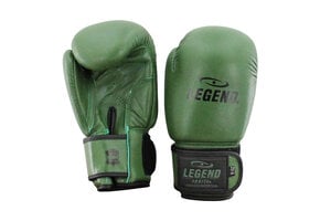 Kids Boxing Gloves Army 6oz Leather