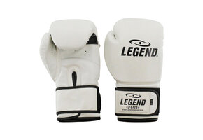 Powerfit & Protect Boxing Gloves Men/Women White PU