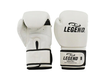 Powerfit & Protect Bokshandschoenen Heren/Dames Wit PU