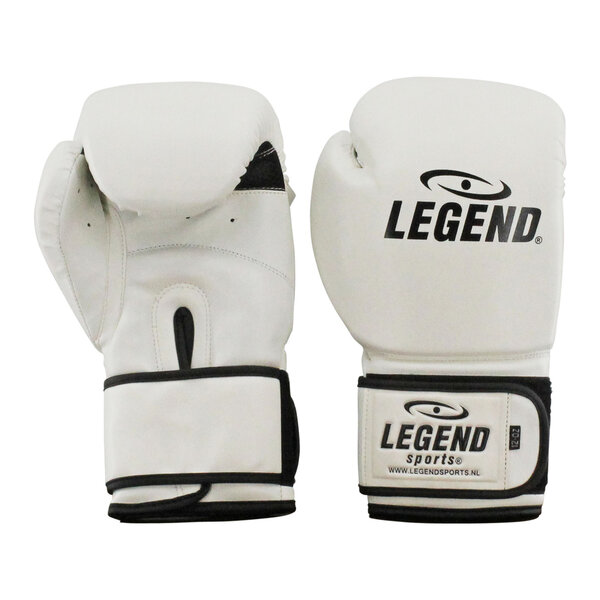 Powerfit & Protect Boxing Gloves Men/Women White PU