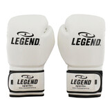 Powerfit & Protect Boxing Gloves Men/Women White PU