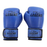 Powerfit & Protect Boxing Gloves Men/Women Blue PU