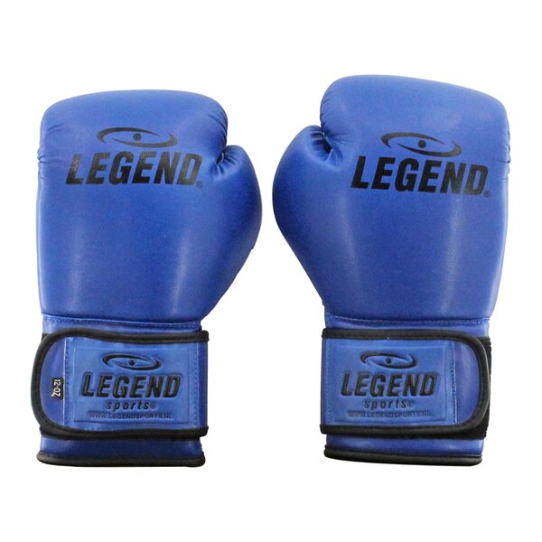 Powerfit & Protect Boxing Gloves Men/Women Blue PU