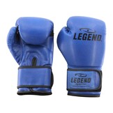 Powerfit & Protect Boxing Gloves Men/Women Blue PU