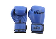 Powerfit & Protect Bokshandschoenen Heren/Dames Blauw PU