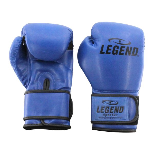 Powerfit & Protect Boxing Gloves Men/Women Blue PU