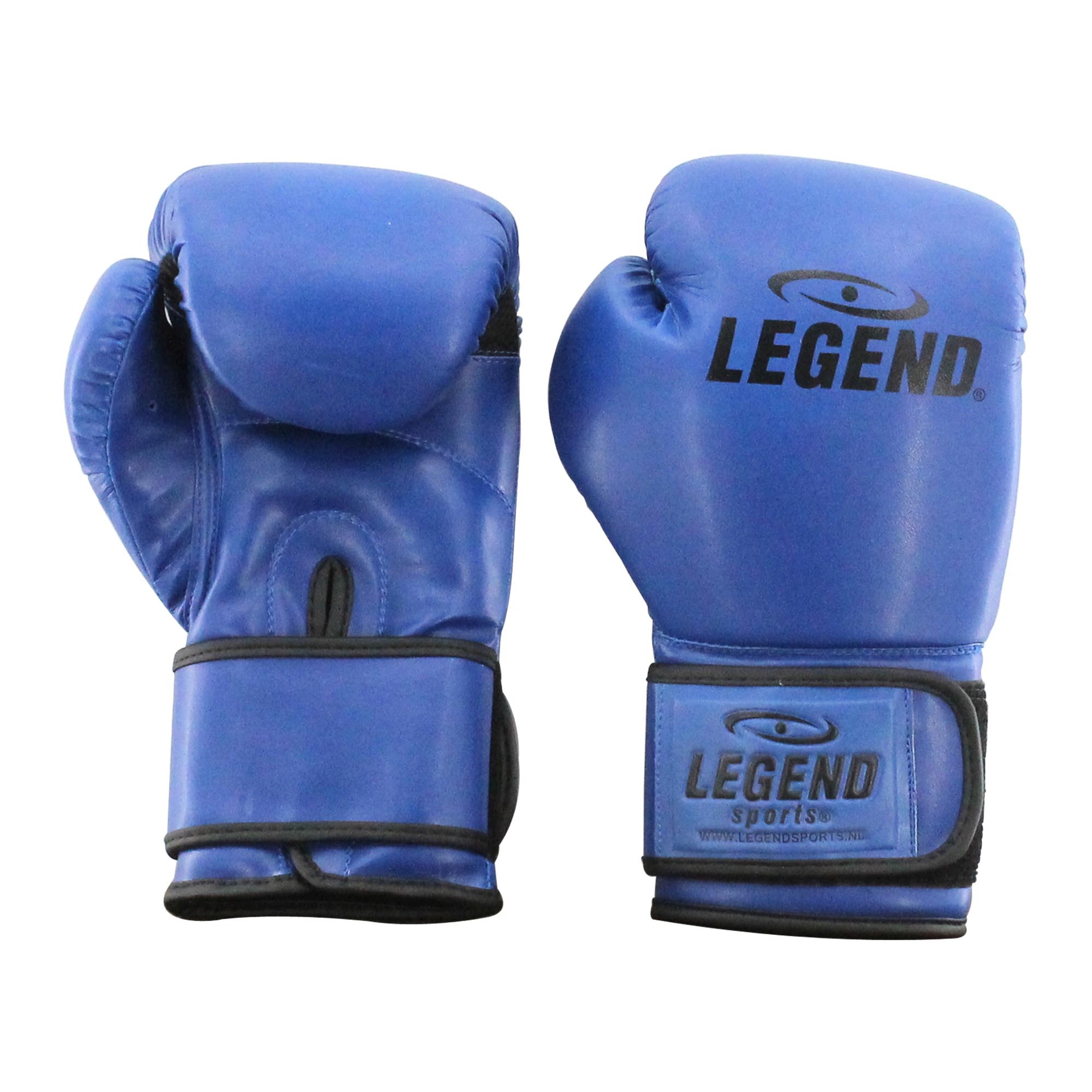 Powerfit & Protect Boxing Gloves Men/Women Blue PU