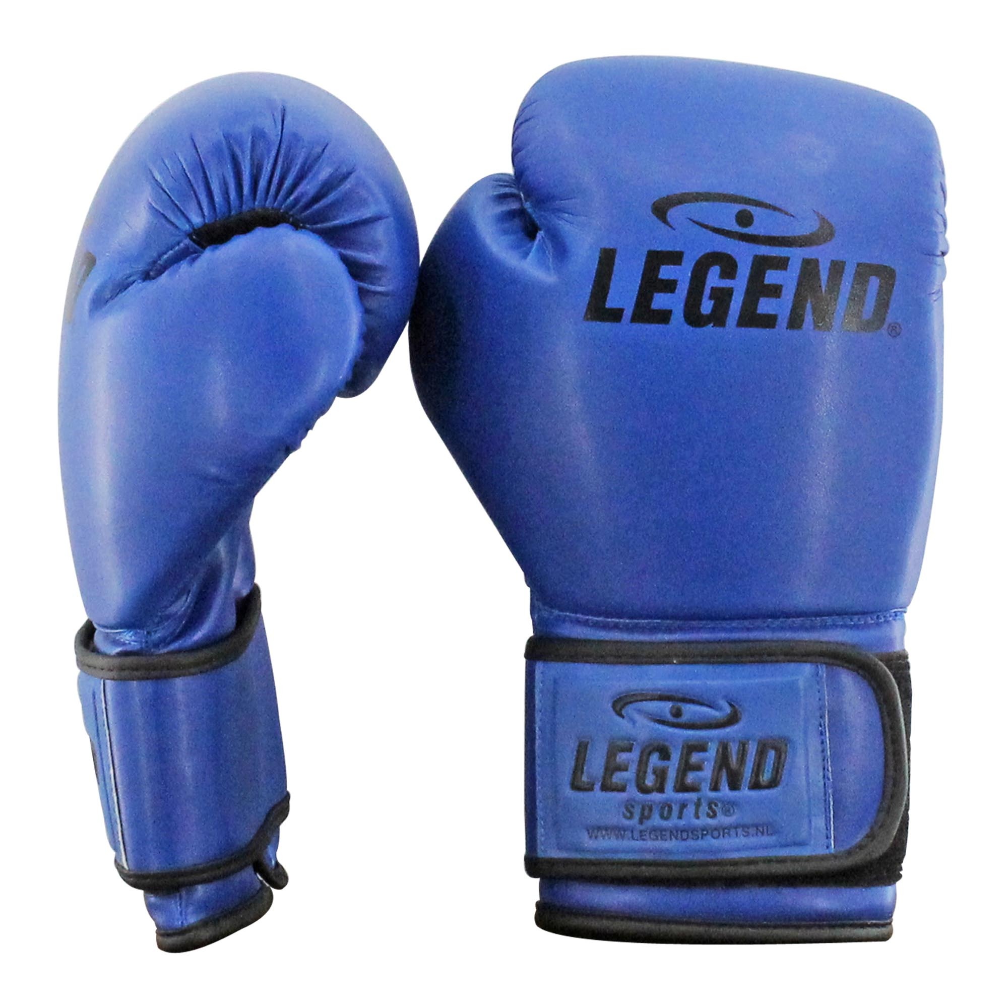 Powerfit & Protect Boxing Gloves Men/Women Blue PU