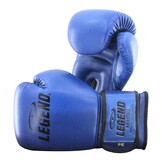 Powerfit & Protect Boxing Gloves Men/Women Blue PU