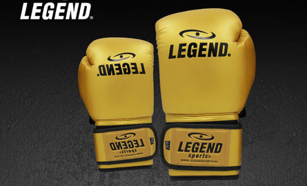 De Beste Kickbokshandschoenen van 2026 – Gids voor Nederlandse Vechters 