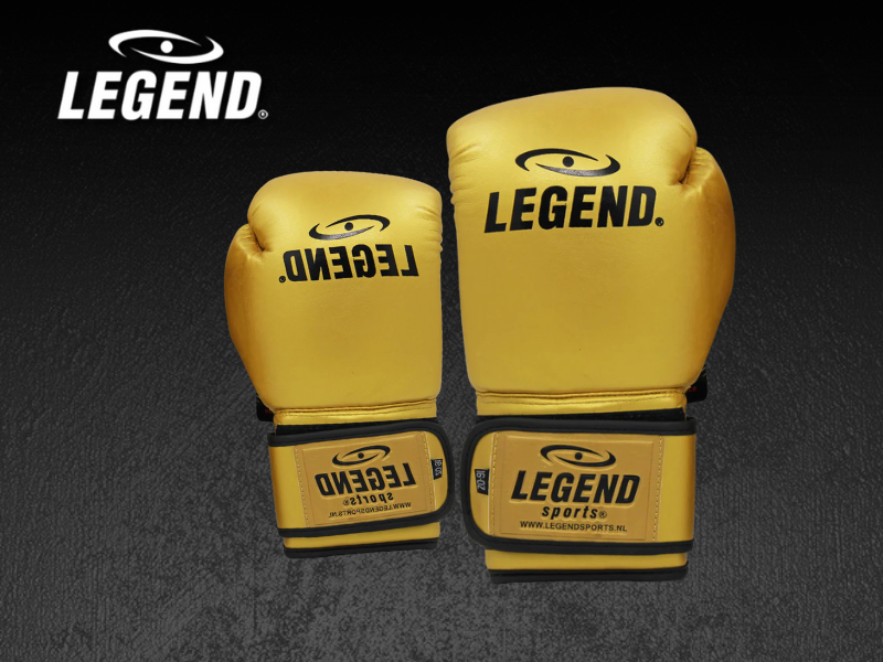 De Beste Kickbokshandschoenen van 2026 – Gids voor Nederlandse Vechters 