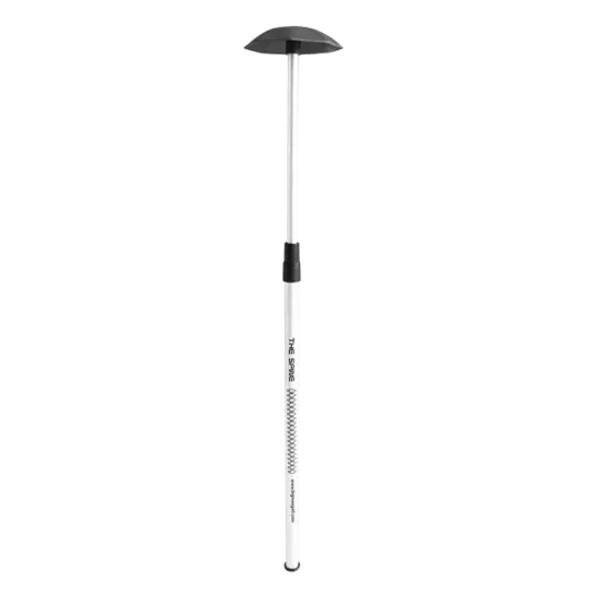 Big Max Big Max Spine