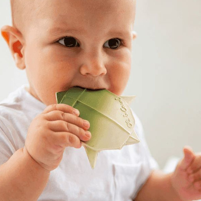 Oli & Carol H2 Origami teething and bath toy turtle