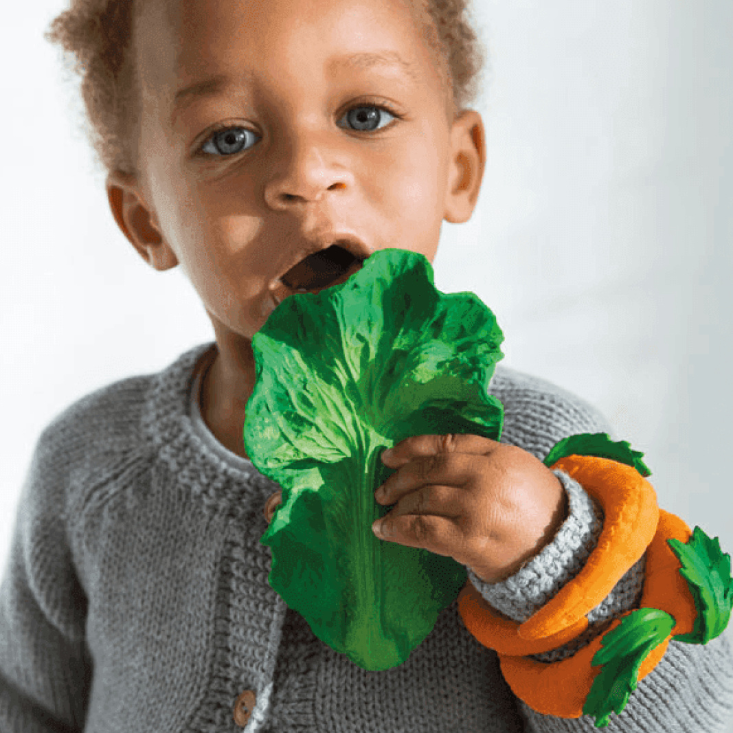 Oli and Carol Fruits & Veggies Bad und Beißspielzeug Grünkohl - Rocket Toys