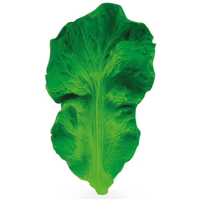 Oli & Carol Kool bad- en bijtspeeltje