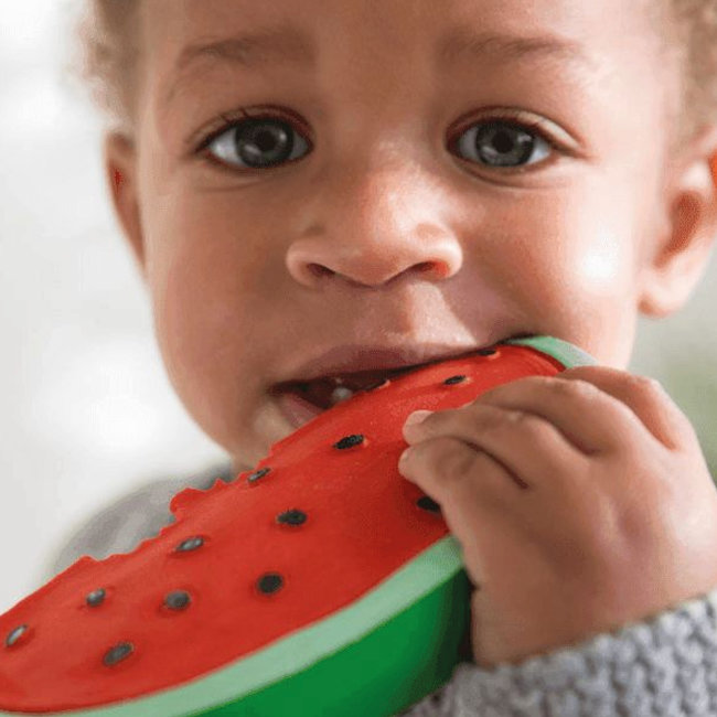 Oli & Carol Watermelon teething and bath toy