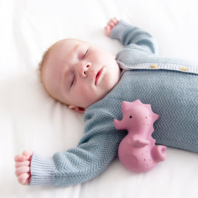 Tikiri Sea horse bath toy and rattle pink