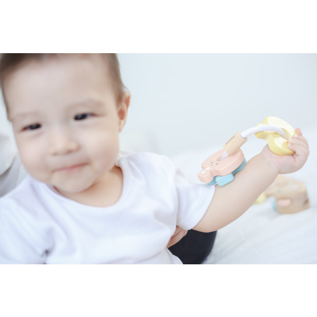 PlanToys Key Rattle Pastel 5251