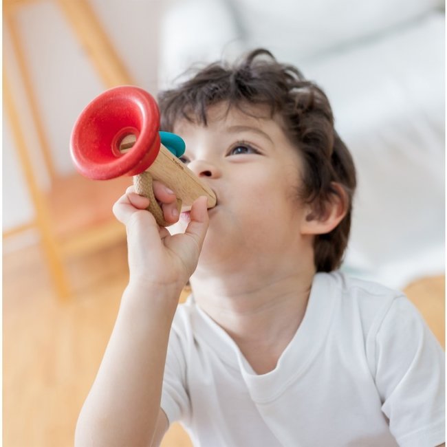 PlanToys Kazoo Hout 6437