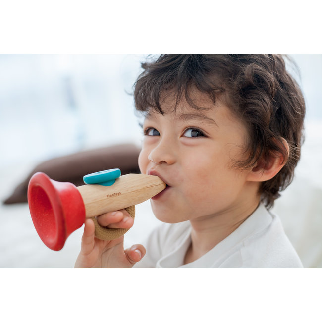 PlanToys Kazoo Holz 6437