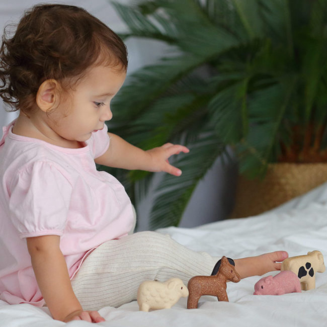 PlanToys Boerderijdieren Set Hout 6127