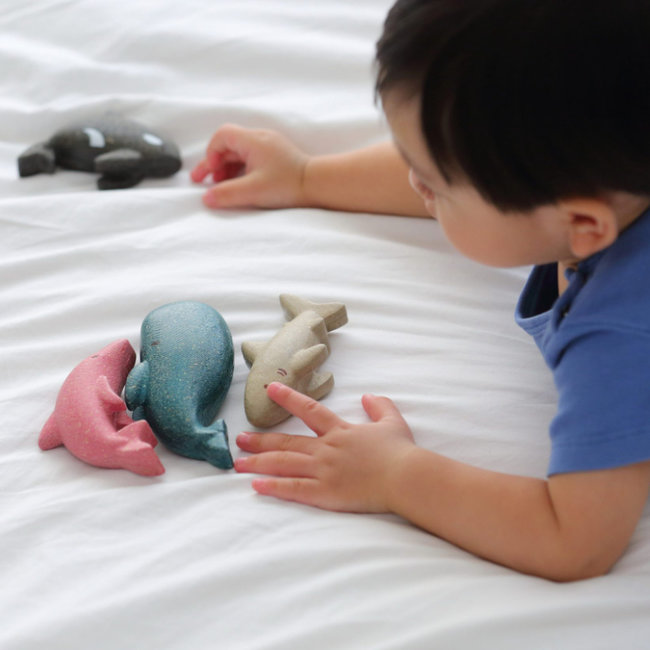 PlanToys Zeedieren Set Hout 6129