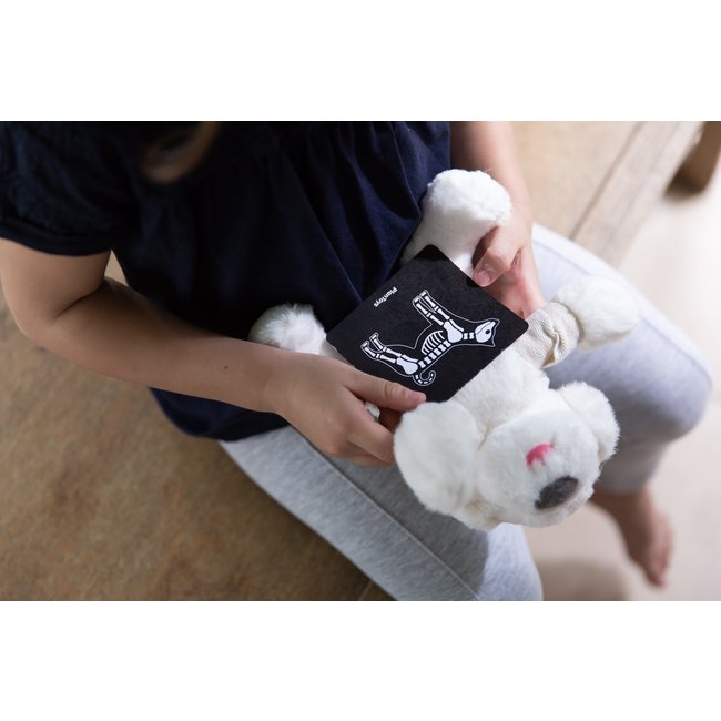 PlanToys Vet Set Wood 3490