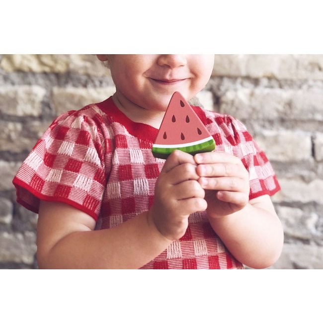 Tender Leaf Toys Houten IJsjes