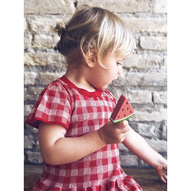 Tender Leaf Toys Houten IJsjes