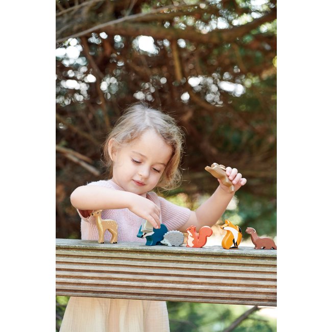 Tender Leaf Toys Bosdieren In Kastje