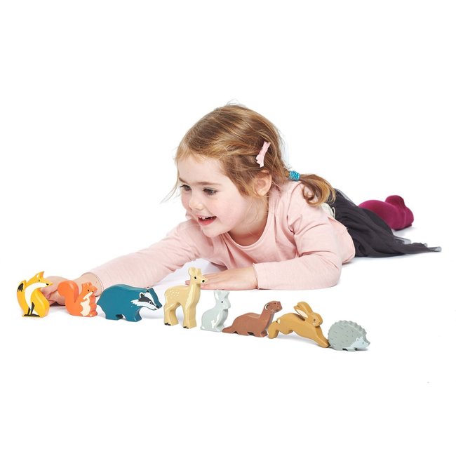 Tender Leaf Toys Woodland Animals In Display Shelf