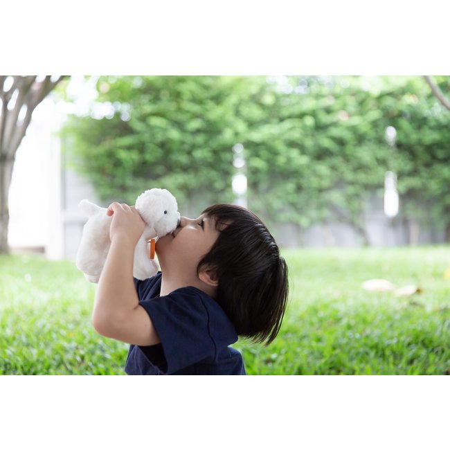 PlanToys Pet Care Set