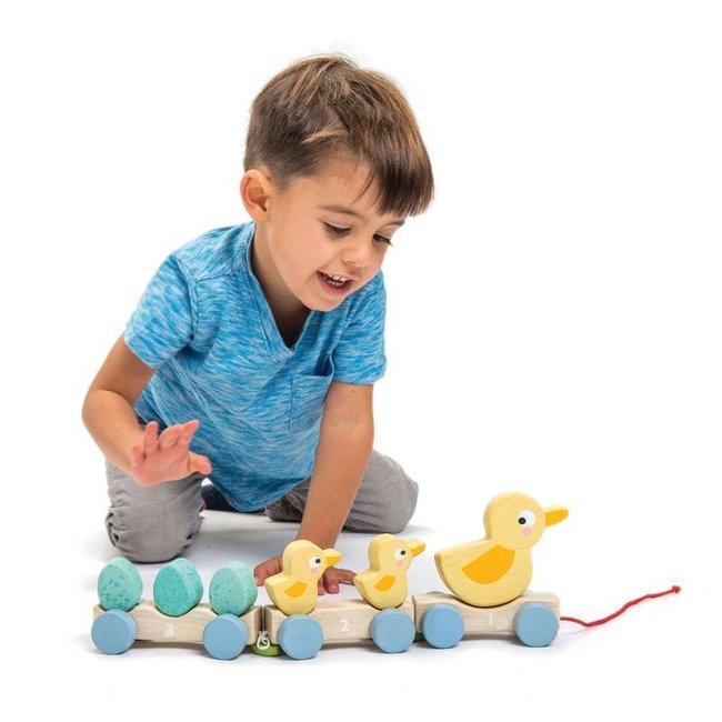 Tender Leaf Toys  Pull Along Ducks Wood