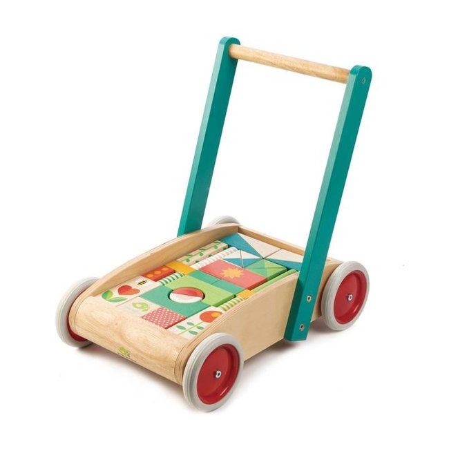 Tender Leaf Toys Loopwagen Met Blokken