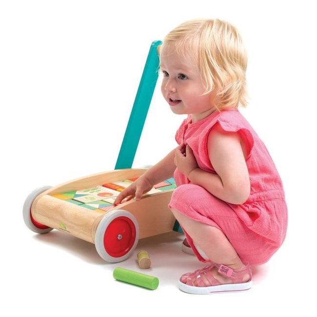 Tender Leaf Toys Baby Block Walker
