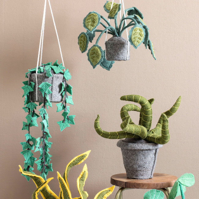 KidsDepot Hanging plant Hedera Felix Felt