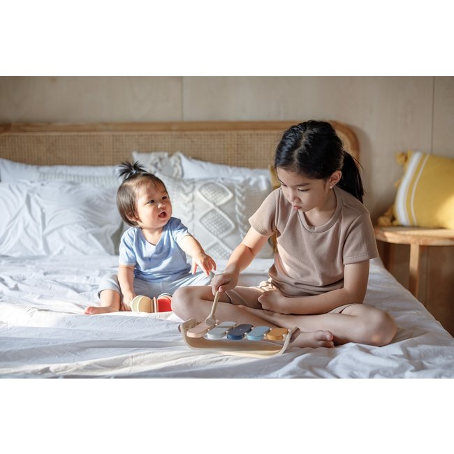 PlanToys Oval Xylophone 6441