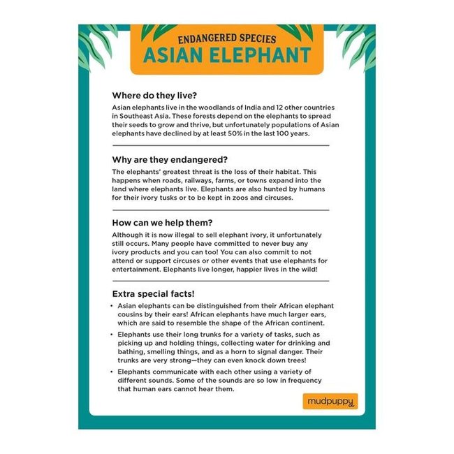 Mudpuppy Puzzel Aziatische Olifant 300 stukjes 7 jaar+