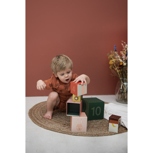 Trixie Baby & Kids Stacking Blocks