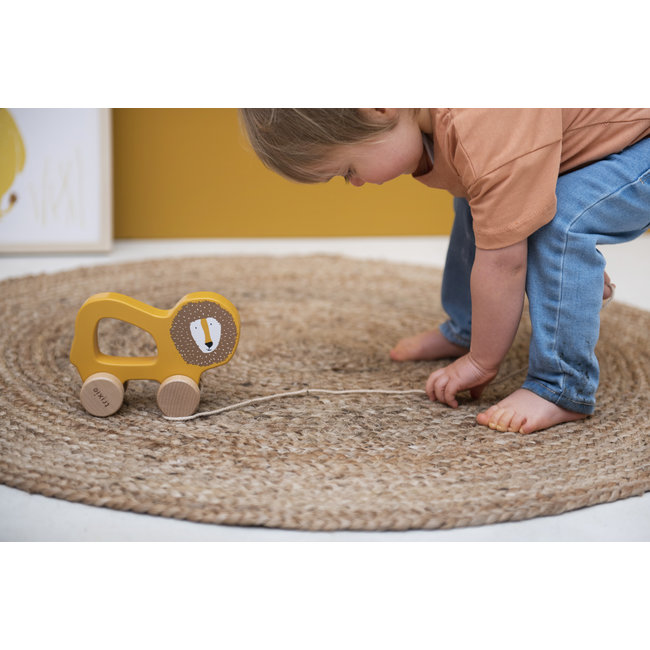 Trixie Baby & Kids Wooden Pull-allong Toy Lion