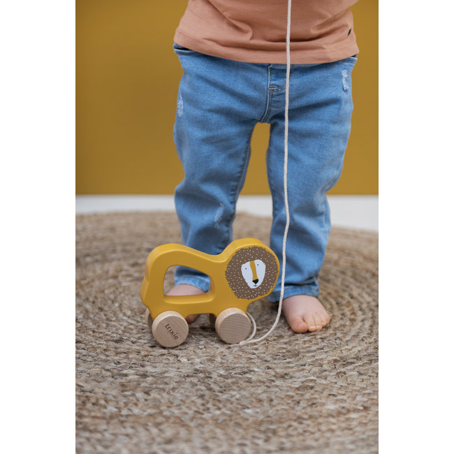 Trixie Baby & Kids Wooden Pull-allong Toy Lion